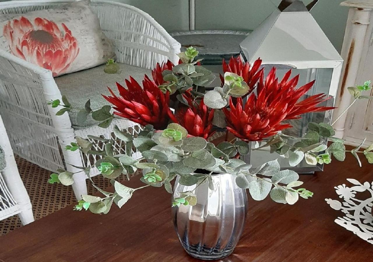 The Greenhouse Guesthouse كيب تاون المظهر الخارجي الصورة