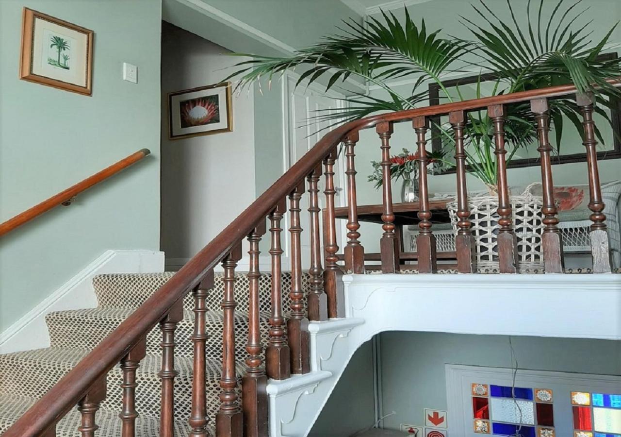 The Greenhouse Guesthouse كيب تاون المظهر الخارجي الصورة
