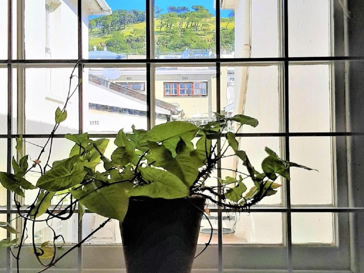 The Greenhouse Guesthouse كيب تاون المظهر الخارجي الصورة