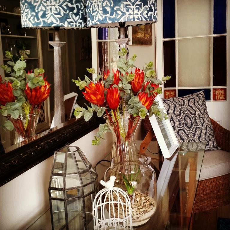 The Greenhouse Guesthouse كيب تاون المظهر الخارجي الصورة